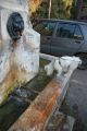 2010 07 02 jeanmarcperfetti.com 005.JPG